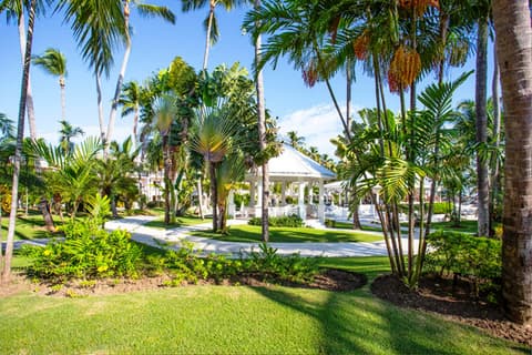 Sunscape Coco Punta Cana, Terrace