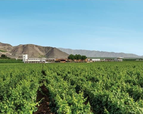 Hotel Viñas Queirolo Ica, 