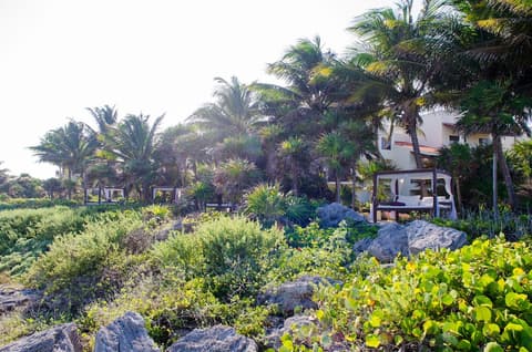 Occidental at Xcaret Destination , View from Room