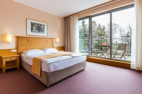 Hotel Bellevue - WINTER PACKAGE , Room