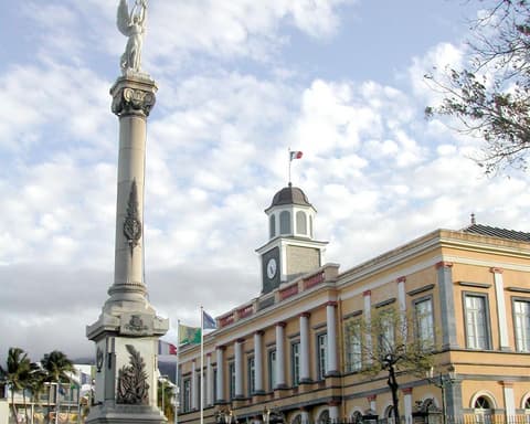 Découverte Métis 2026