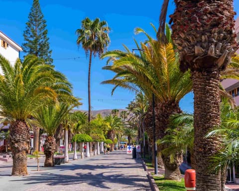 Tenerife Sur desde Zaragoza