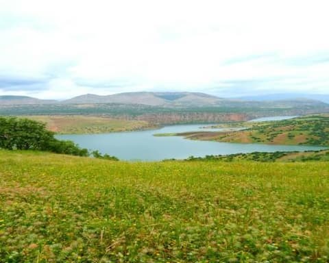 Tierra de Faraones y Jeques, Egipto y Dubái 