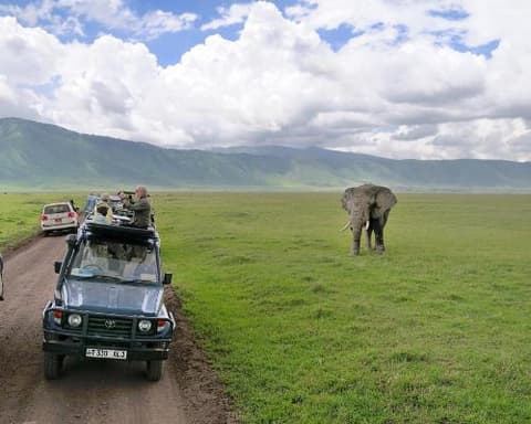 Sudáfrica, Tanzania y Zanzíbar (Todo incluido)