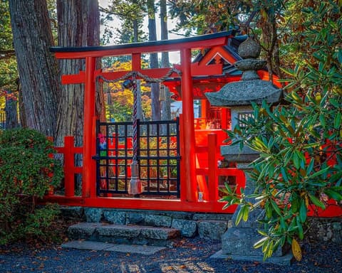 Japón Tradicional y Bellezas de China Fin Macao (2026)