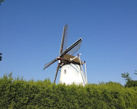 El Rin Romántico, la Alsacia y Países Bajos - 2026