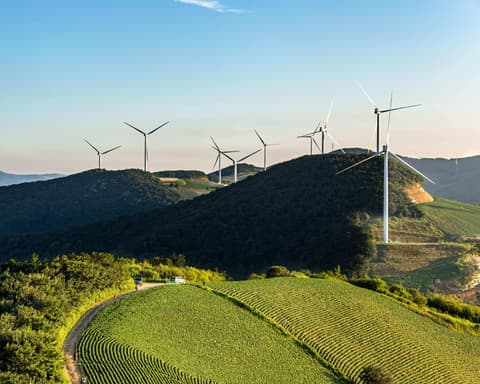 Coreia do Sul Autêntica