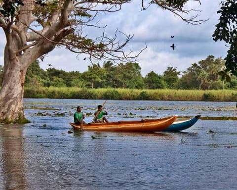 MTPE-30053 SRI- LANKA