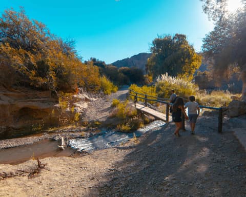 San Juan con Ruta del Vino y Parque Las Quijadas (Todo Incluido)