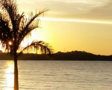 Uganda - Aventura de Safari de Primates 