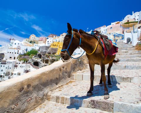 ATENAS 3 NTS, SANTORINI 3 NTS & MYKONOS 3 NTS 2026