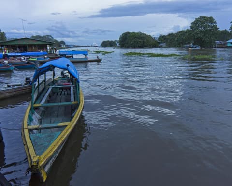 Amazonas Destino de Naturaleza