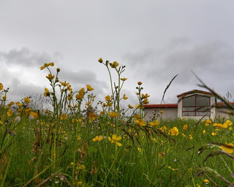 Aventure Islandaise 2026