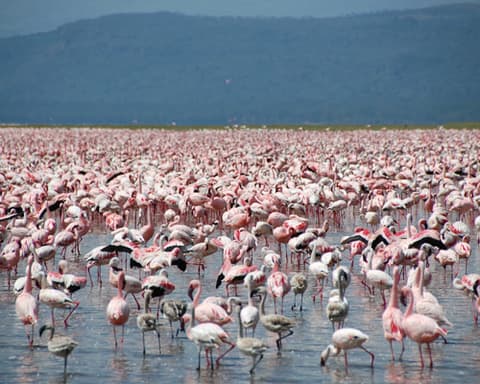 Lagos de Kenia