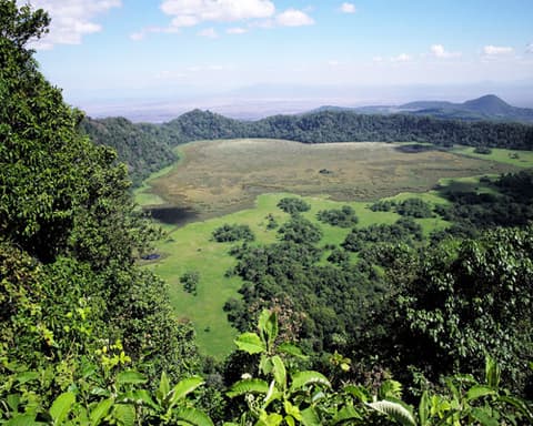 EXPERIENCE TANZANIA La Grande Migrazione