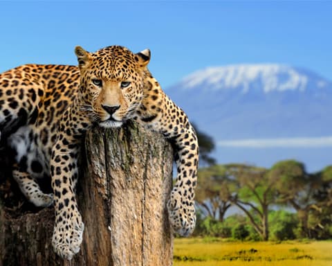 Best of Tanzania with Zanzibar