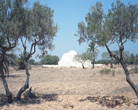 250265 - Tunísia | Djerba | Verão 2026 | Voos de Lisboa