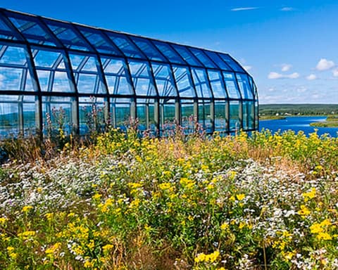 The Magic of Rovaniemi and the Glass Igloo