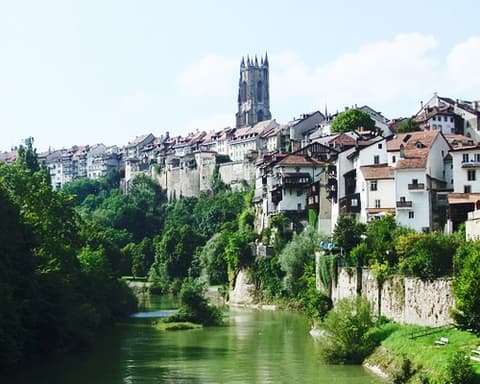 Mercadillos Navideños en Selva Negra y Estrasburgo