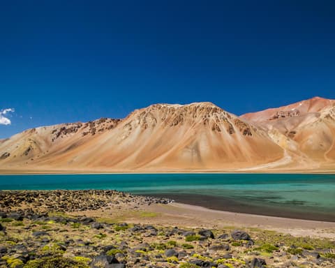 ALENTA A LOS PUMAS EN MENDOZA