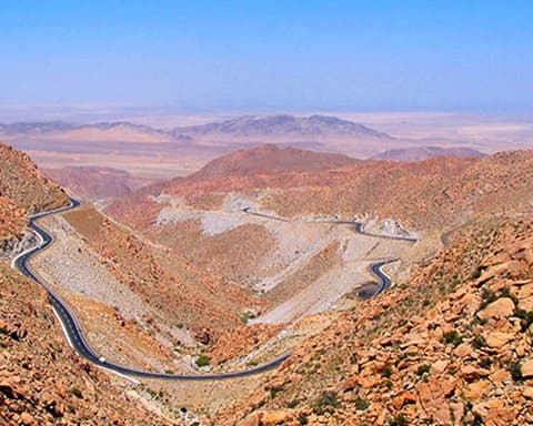 Vinos de Ensenada con Vuelo