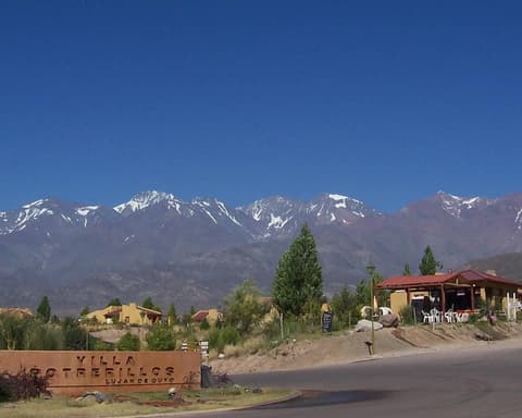 ALENTA A LOS PUMAS EN MENDOZA