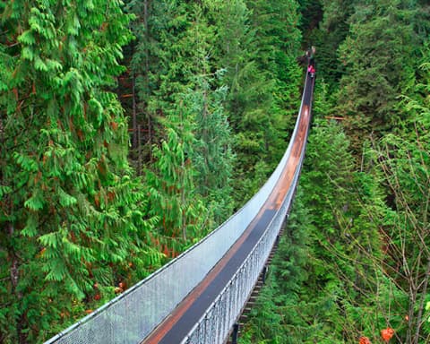 Royal Caribbean Alaska 2022