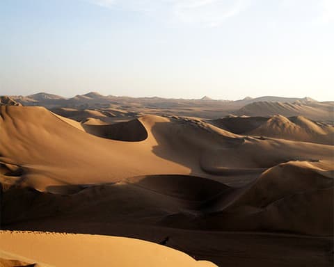 Ica and Paracas Between the Sun and the Breezes 02 Days / 01 Night