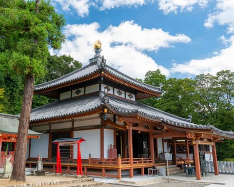 JAPON CON ESTILO (Miércoles)