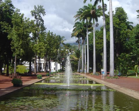 Découverte Métis 2026