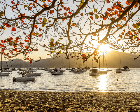 Grupal en Altamar – Crucero de Brasil y Uruguay