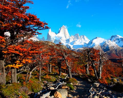 MARAVILLAS ARGENTINAS