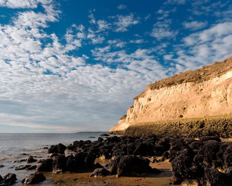 Princess Sapphire : Patagonia y Fiordos 16 noches