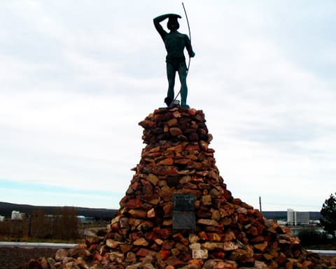 Avistaje de Ballenas con Pingüinera (Todo Incluido)