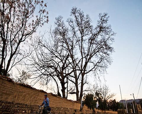 Carnaval Chapaco 2025 Premium