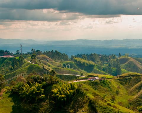 Plan Cacao, Palmas & Café