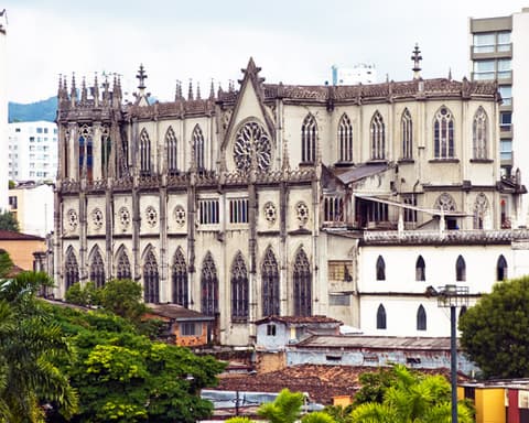 Café, Cultura e Historia