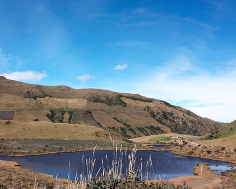 Plan Tradicional Pueblos - Salento y Filandia