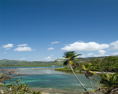 ¡CRUCERO SIN VISA! Norwegian Jewel de Norwegian Cruise Line/ Caribe Este 