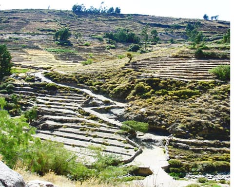 Tacna Veloz 02 Días / 01 Noche