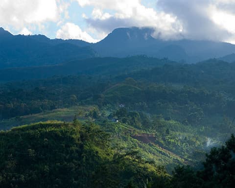  Tarapoto Veloz 3 Days and 2 Nights