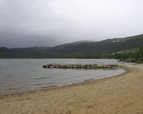 Vision Scandinave 2026