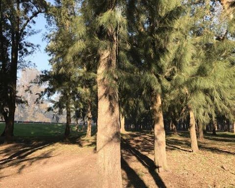 Tailandia Cultural con Phuket