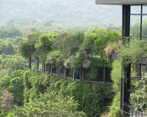 Circuit Sigiriya et Plage