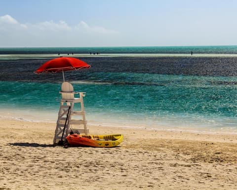 Royal Caribbean Caribe 2022