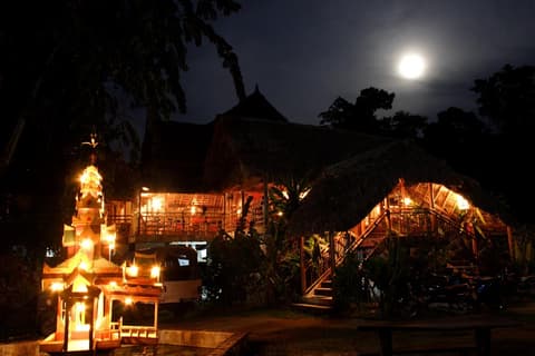 The Wild Orchid Resort, 