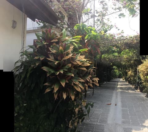 Lucky Mother Bungalow 2 Chaweng Beach, 