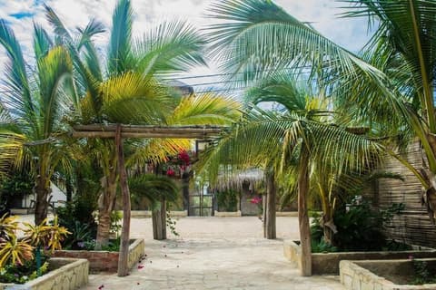 Las Cabañas de Antica, Primary image