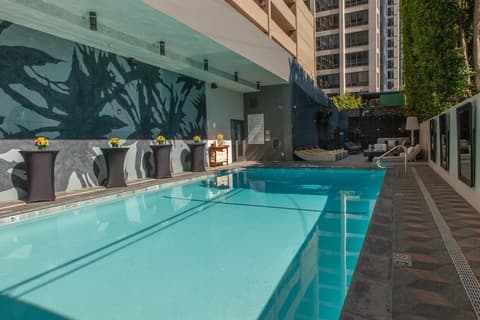 Kimpton Hotel Palomar Los Angeles Beverly Hills by IHG, Pool
