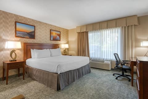 Best Western Seven Seas, Room